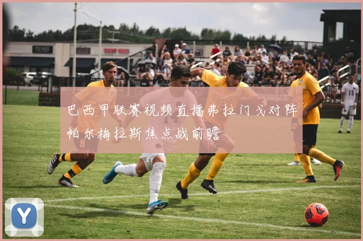 巴西甲联赛视频直播弗拉门戈对阵帕尔梅拉斯焦点战前瞻