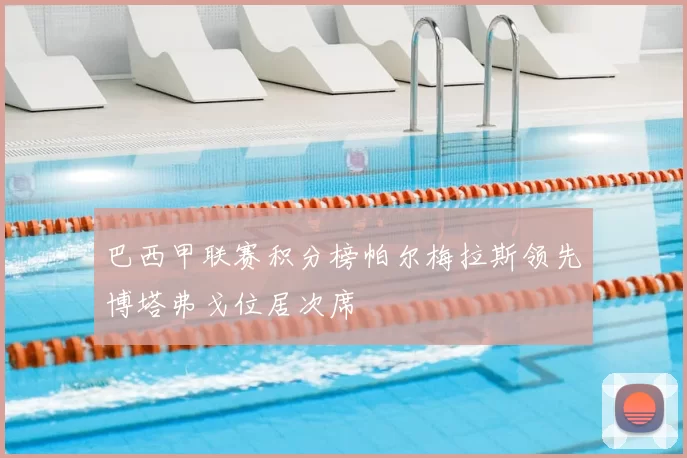 巴西甲联赛积分榜帕尔梅拉斯领先博塔弗戈位居次席