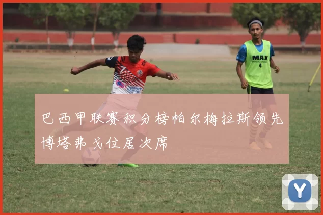巴西甲联赛积分榜帕尔梅拉斯领先博塔弗戈位居次席