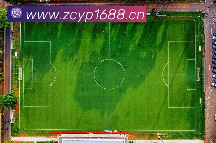 多媒体互动体验